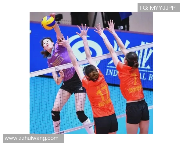 南京排球队的精神探秘与排球文化的深度融合之旅